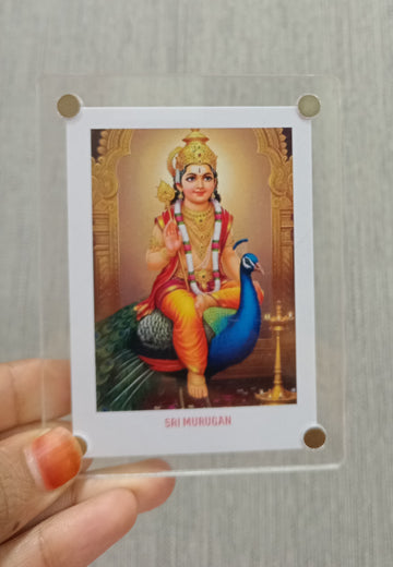 Lord Muruga Magnet / 10 Variants / Best Occasional Return Gift
