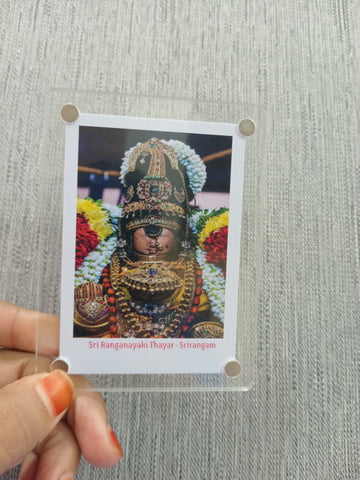 Srirangam Ranganayaki Thayar Magnet / 4 Variants / Best Occasional Return Gift