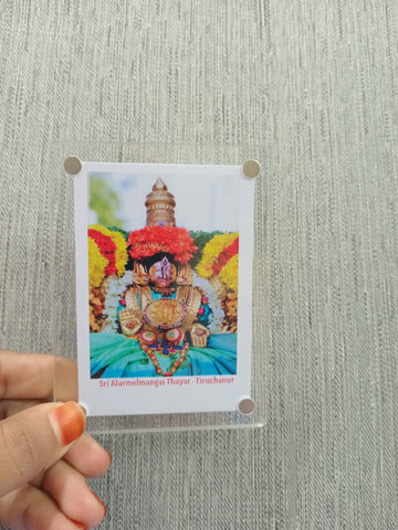 Sri Sridevi Bhudevi Sametha Malayappa Swami Magnet / 6 Variants / Best Occasional Return Gift