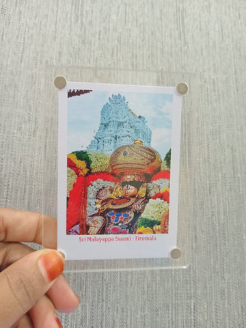 Sri Malayappa Swami-Tirumala Magnet / 6 Variants / Best Occasional Return Gift