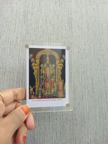 Sri Varadharaja Perumal-Kanchipuram Magnet / 8 Variants / Best Occasional Return Gift