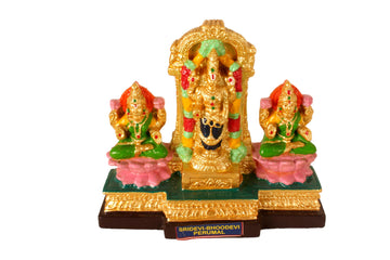 Tirupathi Perumal Sridevi Bhoodevi Gypsum